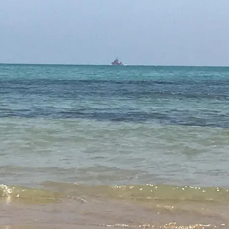 Adriano Torrevieja